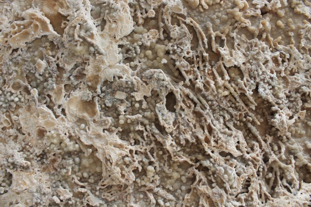 13-11-Kavi Kittani-close up of travertine stone