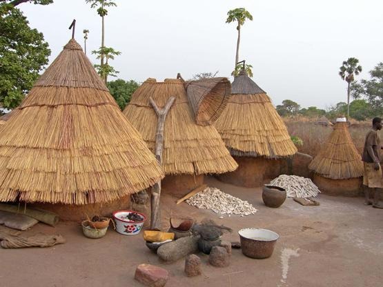 19.Benin_Tata_Somba_Terrace_photo_JanieBaxter_http-::members.virtualtourist.com:m:pb:1d71e6: