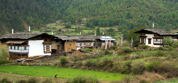 traditional bhutanese house